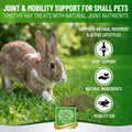 Small Pet Select Joint Mobility Support Supplement, Rabbits, 4.2 oz