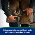 Farnam Horseshoer's Secret Pelleted Hoof & Biotin Supplements, Nutrient-Rich Formula with Amino & Fatty Acids, Omega-3 M