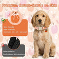 Dog Collar with Orange and Blue Plaid-M