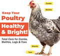 Respiratory Aid for Poultry - Chicken Supplement - Drinking Water Additive - Supports Respiratory Health in Roosters - Suitable for All Birds - 6 oz Dropper - Made in USA