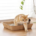 Vealind Disposable Litter Boxes for Cats Cardboard Cat Litter Trays Cat Travel Toilet Litter Pan Liners Kitty and Small Animals Leakproof Litter Box (5 Pack)