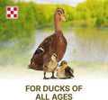 Purina | Nutritionally Complete Duck Feed for All Life-Stages | 4.5 Pound (4.5 LB) Bag