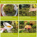 Legigo 14OZ Natural Sphagnum Moss for Reptile Terrarium Substrate Bedding