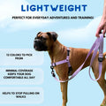 ShawnCo Dream Walk No-Pull Dog Harness