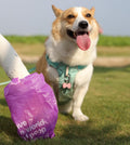 Dog Poop Bags with Handles & Holder, 108 Count, Lavender Scented
