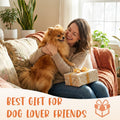 Dog Feeding Reminder Supplies with Magnet, Bone-Shaped Design Brushed Silver, Acrylic Pet Nursing Schedule for Breakfast