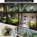 AREPK Aquarium & Terrarium Light Full Spectrum LED, Timer Auto On/Off, for Under 7 Gallon Fish Tanks, Betta Tanks, Moss,