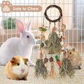 Bissap Rabbit Chew Toy, Hanging Natural Teeth Grinding Snack for Small Pets