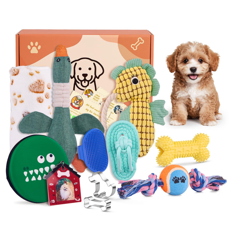 FLAIR GIFTS 14Pcs New Puppy Gift Basket, Welcome Puppy Starter Kit, Dog Toy Gift Basket for Small Puppies, Interactive Dog Toys Bundle Dog Essentials for Birthday Christmas