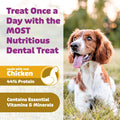 Yummy Combs Dog Dental Treats – Vet VOHC Approved – Delicious Chicken Protein – Removes Tartar with Cleaning Comb Shape 