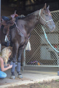 BENEFAB Therapeutic Polo Wraps | Set of 4 | Far-Infrared Technology Keeps Muscles Supple, Prevents Injuries, Promotes Bl