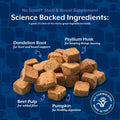 NaturVet - No Scoot for Dogs - 120 Soft Chews - Plus Pumpkin - Supports Healthy Anal Gland & Bowel Function - Enhanced with Beet Pulp & Psyllium Husk