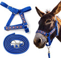 1 Set Mini Donkey Halter with Lead Rope Adjust