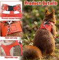 3 Pack Rat Ferret Squirrel Harness and Leash Set, 3 Size Adjustable Soft Leather Small Animal Walking Rope, Anti-Bite Ch