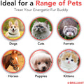 Brilliant Norwegian Salmon Oil for Dogs, Cats, Horse, Ferret - Pure Omega 3, 6 & 9 Fish Oil Food Treats Supplement for Natural Coat, Immune Support, Itchy Skin, Joint & Brain Health - 40 Oz