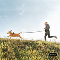 EZ Dog Walking Fanny Pack, Dog Training Treat Pouch, Easy for Walking with Dogs, Belt Bag with 6 Pockets and Waste Bag D