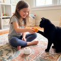 SPOT Sushi Roll Take-Out Cat Toys, Catnip and Crinkle Filled Soft Plush Toys for Indoor Cats, for Single or Multi-Cat Ho