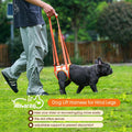 Allroaring Dog Lift Harness with Soft Pads, Orange, S