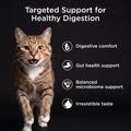 Go! Solutions Digestion + Gut Health Salmon Dry Cat Food, 3 lb