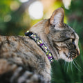 Invader Zim Breakaway Cat Collar