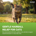 TOMLYN Laxatone Hairball Remedy Chews for Cats