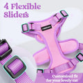 rabbitgoo Cat Harness and Leash Set, Escape Proof