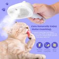 Cat Steam Brush, 3 in 1 Pet Hair Removal Tool, Self Cleaning Steamy Cat Brush for Massage, Dog Brush for Shedding, Cat&D