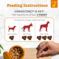 Zesty Paws Cardiovascular Support for Dogs - Taurine for Dogs - with CoQ10, L Carnitine & Sea Buckthorn - Senior Heart Health - AlaskOmega Fish Oil Omega 3 - Senior - Salmon - 90 Count