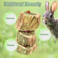 Abizoo Rabbit Chew Toys for Bunny Natural Papaya Wood Chew Treats with Organic Alfalfa Hay, Dried Carrot, Apple and Swee