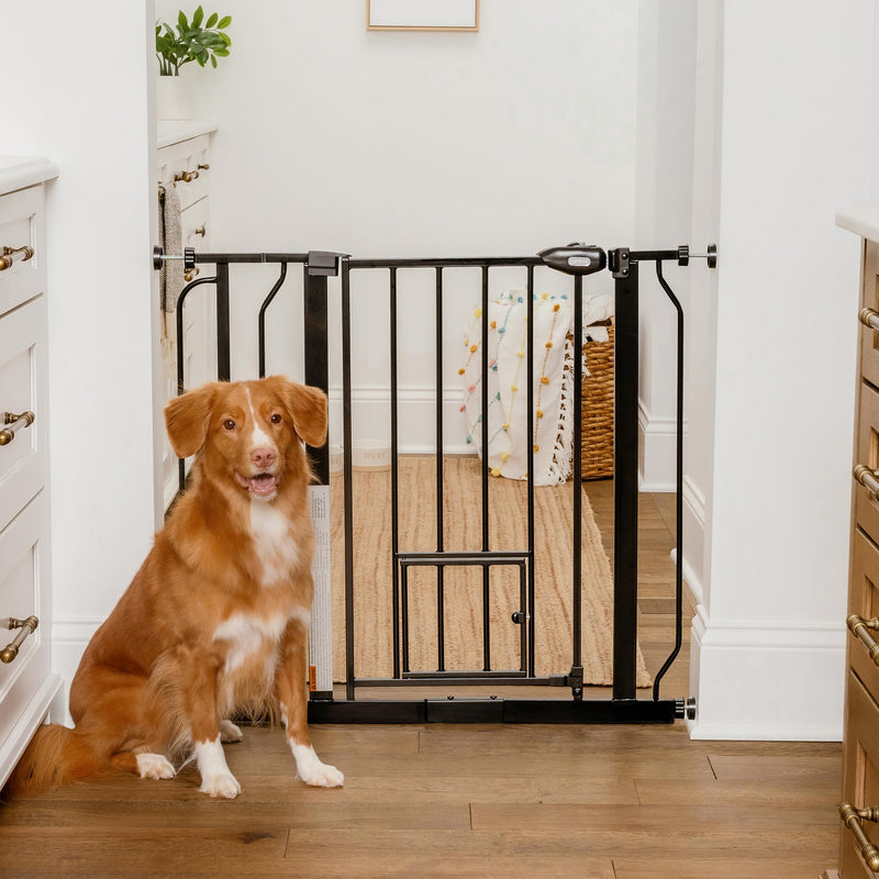 Carlson 29.5–36.5” Extra Wide Dog Gate with Small Pet Door, Walk-Through Pressure Mounted Metal Indoor Pet Safety Gate, Black, Tested and Trusted by Pet Parents, American Designed, American Owned