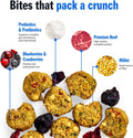 PetPlate Trail Blazin' Beef FreshBaked Dry Dog Food Grain-Inclusive, Gently Baked and Air-Dried Human Grade Dog Food, Fo