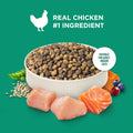 Nutrish Indoor Complete Chicken, Lentils & Salmon Recipe Dry Cat Food, 6 lb. Bag, Packaging May Vary (Rachael Ray)