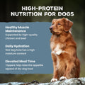Blue Buffalo Wilderness Trail Toppers Wild Cuts Wet Dog Food Variety Pack, High-Protein & Grain-Free, Made with Natural Ingredients, Chicken and Beef Flavors, 3-oz Pouches, (12 Count, 6 of Each)