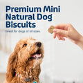 Blue Buffalo Health Bars Mini Crunchy Dog Biscuits, Oven-Baked with Natural Ingredients, Apples & Yogurt, 16-oz Bag