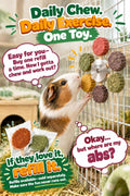 C-LIGHT Guinea Pig Chew Toys, Rotating Spinner + 8 Pcs Timothy, 5 Veggies