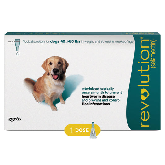 Revolution (selamectin) Topical Solution for Dogs, 40.1-85lbs (Teal), 1 Tube