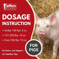 Jeffers Vita-Min Gel for Livestock & Horses – Multivitamin & Mineral Supplement with Selenium, Zinc, Potassium & Turmeri