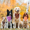 ADOGGYGO Halloween Dog Bandanas, 4 Pack Skeleton Ghost Pumpkin Bandana, L