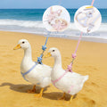 2Pcs Adjustable Chicken Harness and Leash Set, Duck Harness, Blue, Pink
