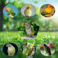 Snap-Closure Parrot Diapers with Adjustable Leash - Washable Bird Flight Suits for Cockatiels, Sun Conures & Quaker Parr