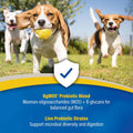 Doc Roy's GI Synbiotics Prebiotic & Probiotic Granules for Dogs & Cat, 454g