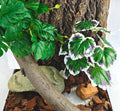 Woyrise Tall Reptile Plants for Terrarium,Habitat Decor,Artificial Plant