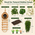 RUNANIA Crested Gecko Tank Accessories，Reptile Vines Plants with Coconut Shell Ladder Hideout Hermit Crab Decor for Leop