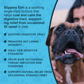 Animal Essentials Slippery Elm - Slippery Elm Bark Anti Diarrhea Drops for Dogs and Cats, Organic Herbal Extract for Healthy Gut, Digestive & Throat Support, Helps Acid Reflux, Liquid Formula- 1 fl oz