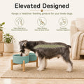 Havniva 6.1inch Ceramic Raised Dog Bowl with Stand, Double Dog Bowls Elevated for Small and Medium Breed Dog Food and Water Bowl Set Non-Slip Dog Dish Large Capacity Feeding Pet Water Bowl