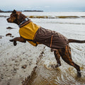 Ruffwear, Sun Shower Dog Raincoat, All-Weather Jacket, Waterproof, Windproof & Lightweight, Mineral Yellow, Medium