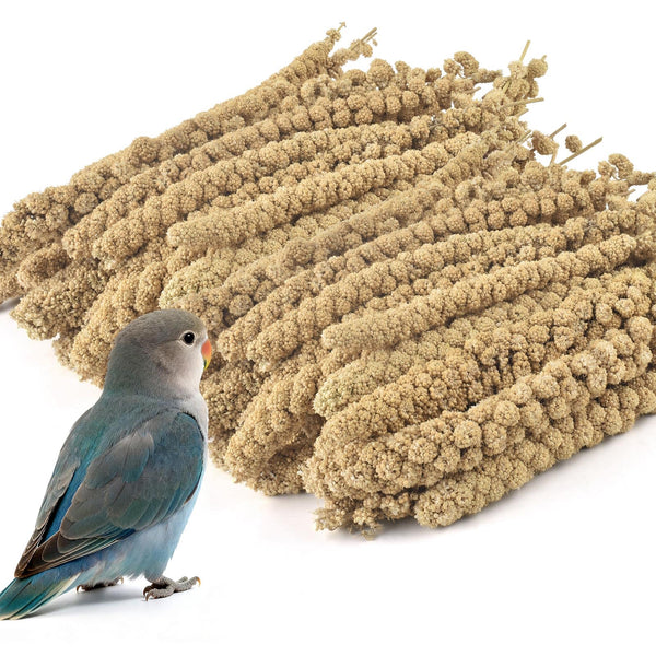 ERKOON 2.5LB Spray Millet Treat, All Natural Sun-Dried Healthy Treat Parrot Food Bird Snack for Parakeets, Lovebirds, Cockatiels, Finches, Budgies, Canaries Hamster, Bird Food Bulk
