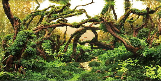 48x24 in Branches Aquarium Backdrop Aquatic Plant Fish Tank Background