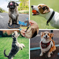 Premium Adjustable Ultrasonic Dog Whistle, Silent Dog Training Whistle to Stop Barking, Professional Recall Dog Whistles