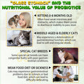 NBTREKTIE Cat Constipation Relief - Natural Laxative with 6 Probiotics Stool Softener, Digestive Support for Hairball Relief & Bowel Movement, Promotes Digestive Health, 2 fl oz (2 PCS)